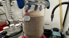 Dr. Jordan Poler's PFAS removal consists of a resin jar reactor filled with natural zeolite that, when combined with other materials, removes PFAS from water. Photo courtesy of Poler Research Group.