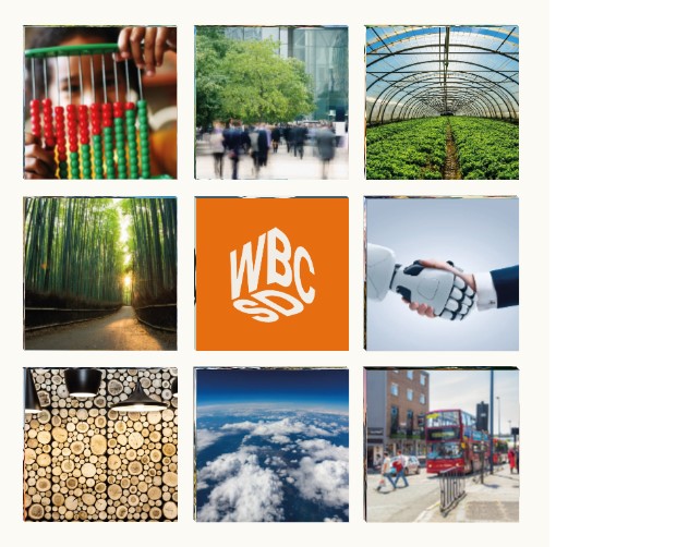 The World Business Council for Sustainable Development (WBCSD)