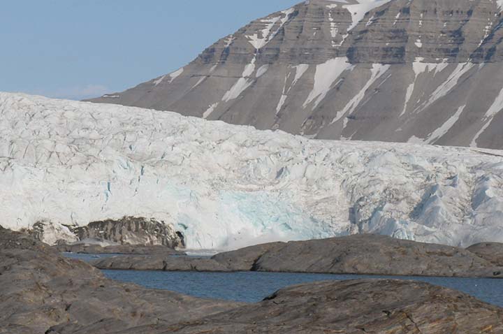 The receding glaciers in Svalbard.