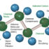 Figure 1. Molecular filtration names.