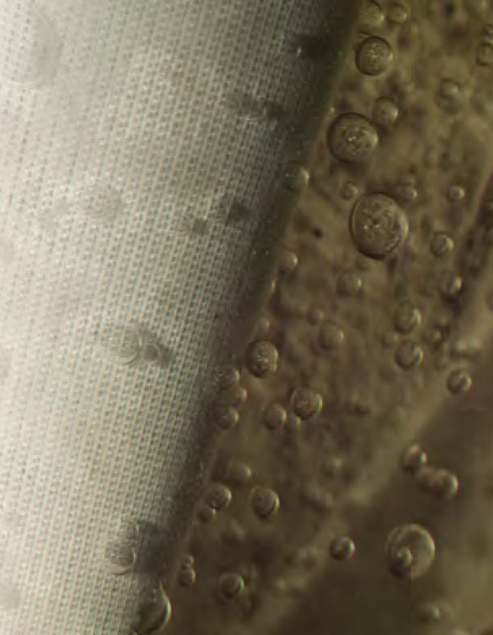 Coalesced water drops on cartridge.