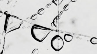 Photomicrograph of coalescing process.