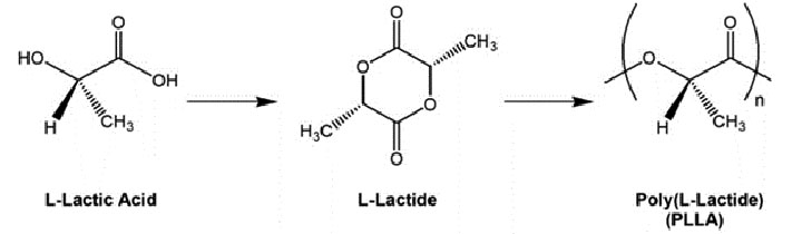 Figure 1. Stoichiometric pathway to Poly(L-Lactide) (PLLA) production.