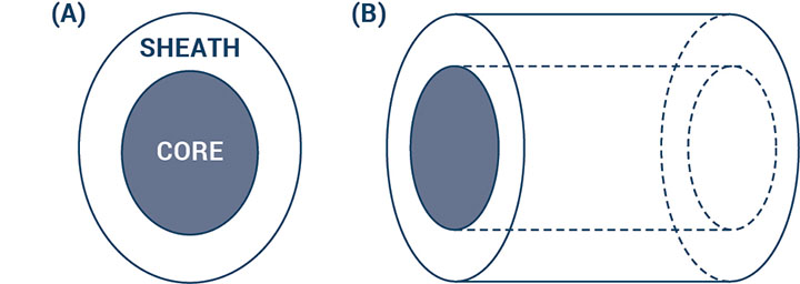 Figure 3. Diagram of core and sheath in a biocomponent fiber.