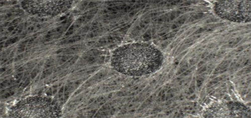 Figure 6. Microscope image of spunbond sample bond point with 5 wt.% PBSa in sheath shows more complete bond site generated by the calendar roll.