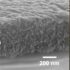 By integrating cellulose into the silk-based fibrils that could be formed into a thin membrane, and then tuning the electrical charge of the cellulose, the researchers produced a material that was highly effective at removing contaminants in lab tests. Pictured is an example of the filter. Photo courtesy of Courtesy of the researchers.